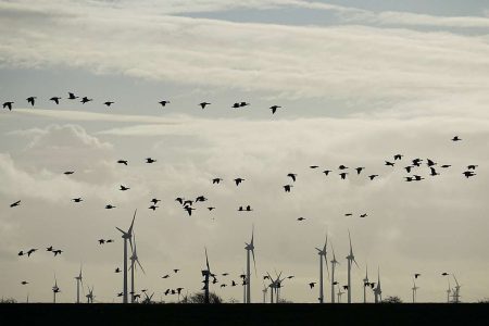 Ariadne-Report 2025: So gelingt Klimaneutralität 2045 kosteneffizient