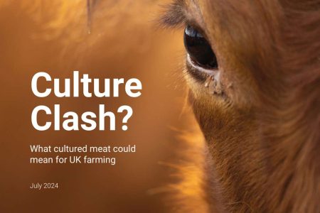 Sauberes Fleisch: Chance oder Risiko für Landwirte?
