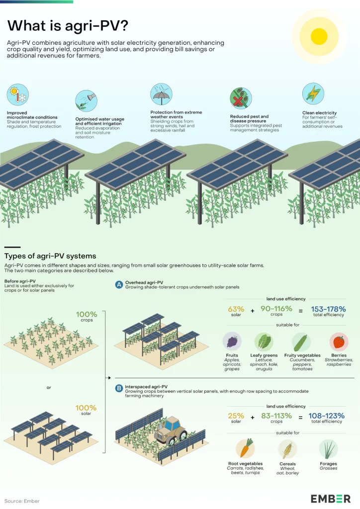 What is agri-PV? Ember Grafik