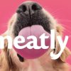 Hund Zunge Meatly
