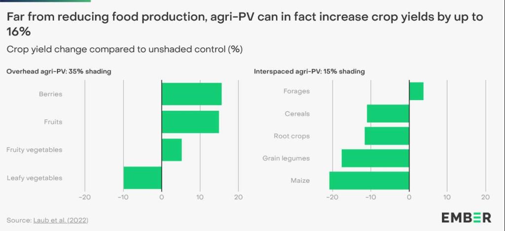 Mehr Pflanzenwachstum durch Agri-PV Grafik