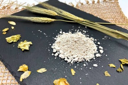Protein Distillery: 15 Millionen Euro Seed-Finanzierung für Proteine aus Brauabfällen
