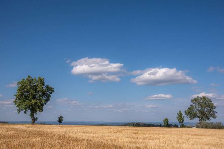 Klimawandeldienst Copernicus bestätigt: Rekordhitze im Sommer 2023